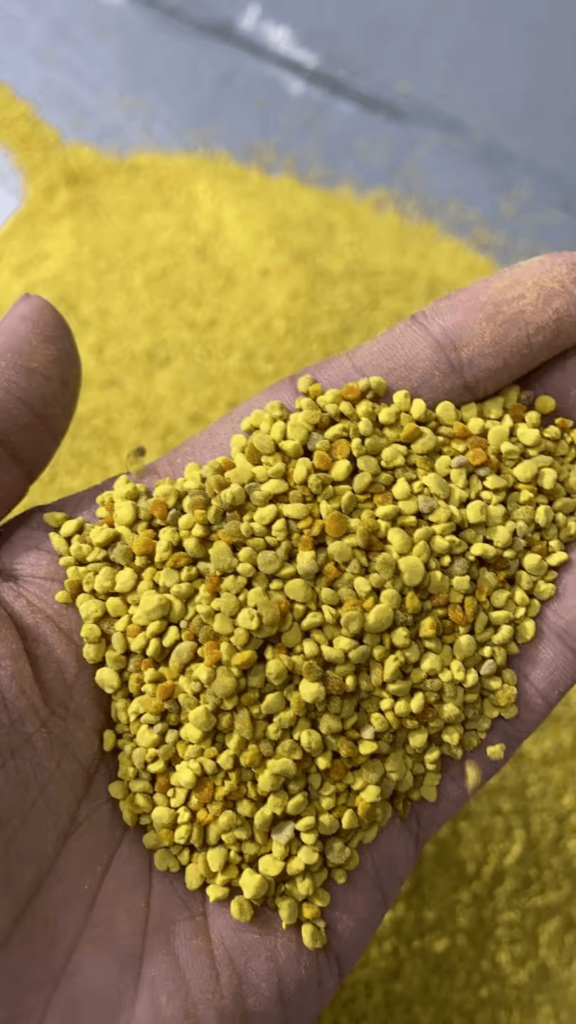 Bulk Wholesale Honeybee Pollen - Image 2